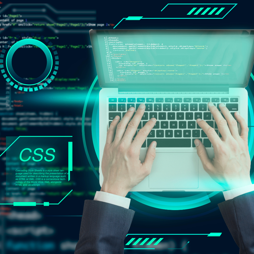 Custom Software Development